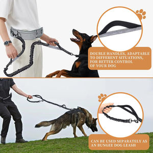 Accessoires pour animaux de compagnie, laisse de luxe pour chien et collier réglable, durable, 100% nylon respirant, motif de lettres, rubans réfléchissants, utilisation en extérieur - Product Image 3