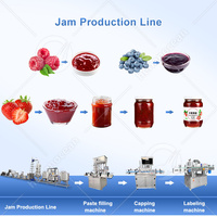 Machine de fabrication de sauce tomate entièrement automatique OCEAN Offre Spéciale Ligne de production de pâte de tomate ketchup à petite échelle