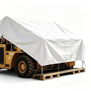 Bâche en PE imperméable et anti-UV, vente en gros d'usine, taille et couleur personnalisées <span class=keywords><strong>avec</strong></span> œillets pour couverture extérieure de jardin et de construction - Product Image 5