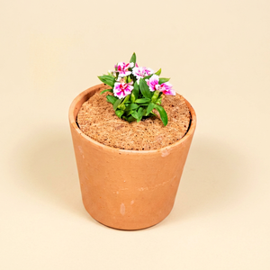 TOP SELLING Blue Lotus Farm Coir Mulch Mat Coconut Fiber Disc Plant <b>Cover</b> Soil Moisture Retention 2-3 Years Home <b>Garden</b> - Product Image 1