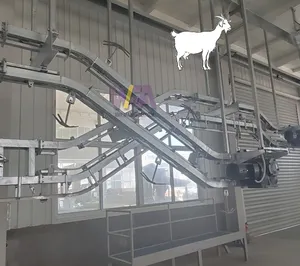 Abattoir Design Halal Large Sheep Slaughterhouse Machine of 400 Goat Per Day Slaughtering Equipment