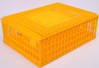 Offre Spéciale Cages de Transport Volaille, Caisses de Transport Poulet