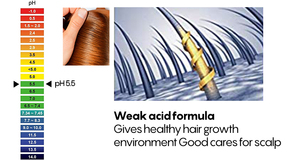 Sérum professionnel du cuir chevelu traitement des cheveux ensemble de soins capillaires végétaliens shampooing d'humidité botanique Anti démangeaisons Anti pelliculaire shampooing - Product Image 3