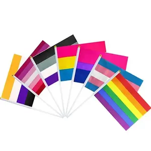 Polyester personnalisé imprimé LGBT Gay Pride 14*21cm Mini drapeaux arc-en-ciel tenus en agitant la main avec poteau en bois en plastique
