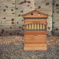 Neuer Automatischer Bienenstock mit 7 Automatischen Rahmen aus Tannenholz, Königinnensperre, Unmontiert, 1 Jahr Garantie
