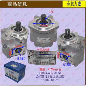 Agent de la marque Sheng'an + Pompe à engrenages Hefei Liwei CBK-G436-AF&L 13 Gauche 2 Bride Pompe à carburant arrière et pièces - Product Image 2