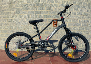 Vélo de montagne Enjoy pour <span class=keywords><strong>fille</strong></span>, frein à disque, fourche à suspension 38mm, soudage TIG, câble interne, jante en alliage d'aluminium double couche - Product Image 2