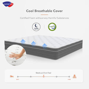 <span class=keywords><strong>Premium</strong></span> Sleep king Queen Protecteur de matelas imperméable pleine grandeur Housse de protection couverte Gel Mousse à mémoire Matelas à ressorts ensachés - Product Image 3