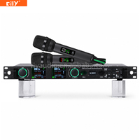 Micrófono Inalámbrico Profesional de Doble Canal M-8605 con Tecnología True Diversity y Pantalla TFT para DJ, Escenario, Espectáculos y Canto