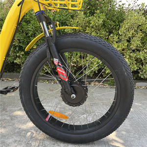 ヨーロッパ ベストセラー 500W 750W 前輪モーター 貨物運搬 電動三輪自転車 大人用 - Product Image 6