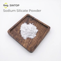 CAS 1344-09-8 Silicate de sodium en poudre de haute pureté 99% Na2SiO3, qualité industrielle, matière première en vrac pour détergents et savons