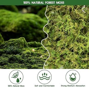 Natural Compressed Dry Accessories Cool Climbing Turtle Hibernating Winter Moisturizing <strong>Moss</strong> Mat Reptile Supplies Sphagnum <strong>Moss</strong> - Product Image 3