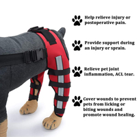 Attelle de Soutien Réfléchissante et Ajustable pour Pattes Arrière de Chien, Respirante, Protection du Genou pour Animaux, Blessures Articulaires Post-Opératoires