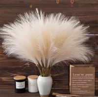 Herbe de la Pampa duveteuse naturelle, plante décorative, en stock, pour décoration de mariage, fête, maison, Pâques, Noël, Halloween