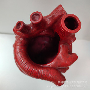 Heart Anatomy Model Vase Synthetic Resins Modern Design Decorative Desktop <b>Ornament</b> Valentine'S Day Gift - Product Image 4