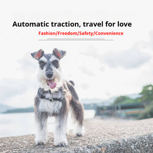 ปลอกคอสัตว์เลี้ยงแบบยืดหดได้อัตโนมัติขายดีที่สุด สายจูง สายรัดอก-เชือกจูงสุนัขแบบพกพาสำหรับเดินเล่นกลางแจ้ง - Product Image 6