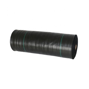Alfombra de plástico antimaleza para jardín agrícola, cubierta de suelo de película, color negro - Product Image 6