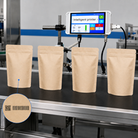 Imprimantes jet d'encre TIJ en ligne pour l'impression de la date d'expiration et le codage par lots sur sacs en plastique et sacs en aluminium à grande vitesse
