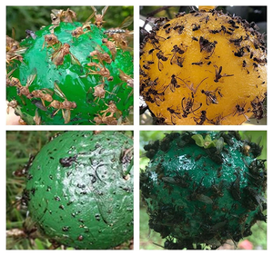 Bola <span class=keywords><strong>Atrapamoscas</strong></span> Reutilizable, Trampas para Moscas Fuertes, Eliminador de Moscas, Bola Colgante Adhesiva, Herramientas para Atrapar Moscas, Suministros para <span class=keywords><strong>el</strong></span> Hogar, Jardín y Patio - Product Image 6