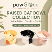 Vente en gros, faible MOQ, gamelle pour chat en céramique inclinée et surélevée, design mignon, gamelle d'alimentation pour animaux de compagnie, logo personnalisé, marque privée, fourniture OEM ODM