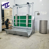 Chaîne de Découpe Automatique Complète pour Bovins avec Plateau Tournant, Élévateur et Scie à Poitrines pour Abattoir Moderne Certifié Halal