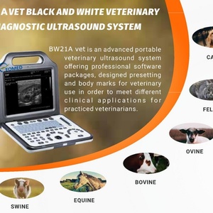 Échographe numérique noir et blanc portable pour vétérinaires, système de diagnostic ultrasonore à prix imbattable BW21Avet - Product Image 4