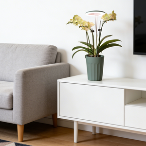 Lámpara LED para Orquídeas con Maceta Decorativa de Autorriego, Juego de Macetas Modernas con Asa para Decoración del Hogar, Oficina y Jardín - Product Image 2
