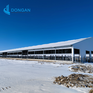 Edificio Agrícola Prefabricado con Estructura <span class=keywords><strong>de</strong></span> Acero, Establos para Vacas, Ovejas, Ganado Vacuno, <span class=keywords><strong>Cabras</strong></span> <span class=keywords><strong>Lecheras</strong></span>, Gallineros - Product Image 5