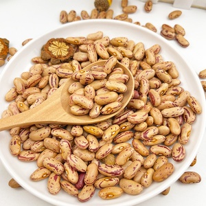 Fagioli di Mirtillo Rossi, Fagioli Kidney Leggermente Macchiati - Product Image 2