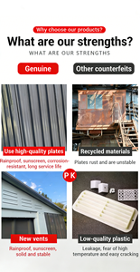 Caseta de Jardín <span class=keywords><strong>para</strong></span> Exteriores, de Acero Galvanizado, Resistente al Agua, Anticorrosiva, Ecológica, Fácil de Montar, Capacidad Personalizable - Product Image 6