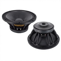 Altavoz de Línea Magnética de 12 Pulgadas y 500 W, Bobinado Interno/Externo de 75 mm/3 Pulgadas, Imán de Ferrita Modelo 12FW76, Sonido Envolvente