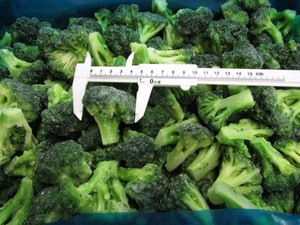 Brócoli Congelado Chino de <span class=keywords><strong>Bajo</strong></span> Precio, Certificado por BRC y HACCP, para Invernadero - Product Image 2