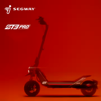 Ninebot Elektro-Roller zum Verkauf: Max. Geschwindigkeit 32 km/h, 650 W Offroad-Scooter, Ninebot ZT3 Pro