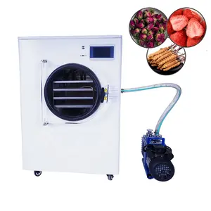 छोटी वैक्यूम फ्रीज सुखाने की मशीन फ्रीज ड्रायर Lyophilizer सब्जी फल मांस पालतू भोजन घर बिजली हीटिंग प्रदान