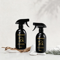 Bouteille en plastique PET noire de 16 oz vide de luxe avec pulvérisateur à gâchette pour la mousse, emballage en gros pour le nettoyage domestique et des pièces.