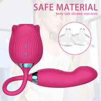 Vibrateur Rose à Succion et Léchage de Langue 10V, Stimulateur de Point G à Poussée, Suceur Clitoridien Vibrant, Jouet Sexuel Médical pour Femmes