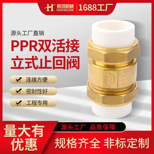 วาล์วกันกลับแบบทองแดงทั้งหมด Huihong สำหรับท่อ PPR แบบสองข้อต่อแนวตั้ง วาล์วจุกเดี่ยวสำหรับน้ำประปา วาล์วทางเดียว - Product Image 5