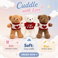 Collection d'ours en peluche Kawaii 22-30 cm, ours en peluche habillé avec un pull en forme de cœur, ours en peluche mignon et doux pour collectionneurs
