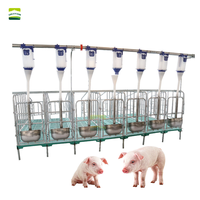 Corral de gestación de cerdo galvanizado por inmersión en caliente, jaula de gestación de cerdas, corrales de posicionamiento para granja de cerdos