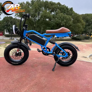 Bicicleta Eléctrica de una Sola Velocidad con Batería de Litio, Motor de 500w, Amortiguación Central, Neumáticos 16*4.0, Alcance de 40km, Resistente al Agua IPX5, Velocidad de 45km/h - Product Image 4