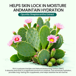 Set de Cuidado Facial de Cactus Natural ICESEA, Hialuronato de Sodio, Hamamelis, Centella Asiática, Nutritivo, Anti-Hinchazón, Hidratación Profunda, Calmante - Product Image 5
