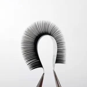 Cashmere Hot Selling Cashmere Lash Extensions Russian Volume Lashes 0.03 0.05 0.07 Silk Individual Eyelash Extensions