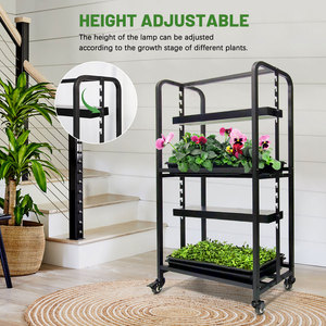 Système de culture à 2 niveaux en fer pour jardin de cuisine, support de plantes à hauteur réglable pour micro-légumes, herbes et plantes succulentes - Product Image 4