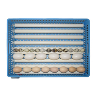 Incubateur d'œufs intelligent tout-en-un (éclosion/élevage/prise en charge) avec fonction 360° °   Tourneur à rouleaux et double alimentation - Taux d'éclosion élevé pour la volaille