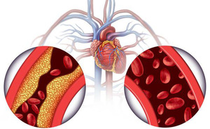 ผงยูจู (Polygonatum Odoratum) สมุนไพรจีนโบราณ สารสกัดจากยูจู (Polygonatum Odoratum) - Product Image 3