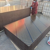Contrachapado de Álamo de Alta Calidad para Encofrados de Construcción, Superficie Lijada, Grado E1, Formaldehído Estable, Espesor para Construcción