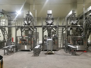 Bolsa prefabricada Bolsa <span class=keywords><strong>de</strong></span> cremallera Máquina <span class=keywords><strong>de</strong></span> embalaje Especias Máquina <span class=keywords><strong>de</strong></span> embalaje <span class=keywords><strong>de</strong></span> anís estrellado - Product Image 2