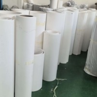 Plaque en PTFE solide résistante à la corrosion industrielle, aux solvants à basse température et autolubrifiante pour raffinerie de pétrole, épaisseur 3 mm