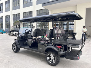 Shininglsv Fabrikant Snelle 7.5 Motor 6 Passagiers Elektrische Club Auto Off-Road Straat Legale Jacht Nutswagen - Product Image 6