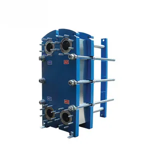 BW Detachable Plate Heat Exchanger with Gasket SS316L Heat Exchanger